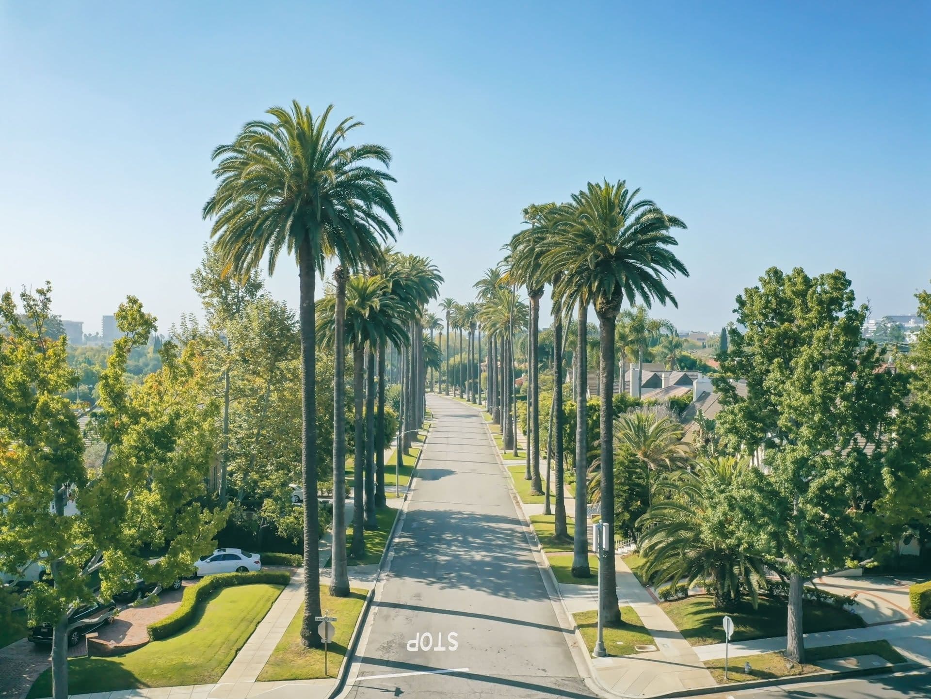 REVIV - LIT - Method - Gym - Los Angeles